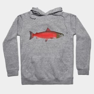 Coho Salmon - Spawn Phase Hoodie